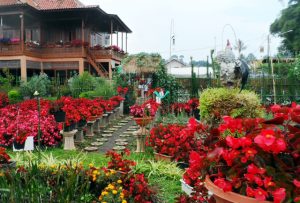 Read more about the article Taman Bunga Bandung Wisata Romantis Yang Bikin Baper!