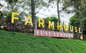 Read more about the article Menikmati Keseruan di Farmhouse Susu Lembang Bandung