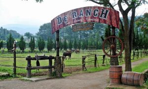 Read more about the article Keseruan Berlibur di De Ranch Lembang Bandung